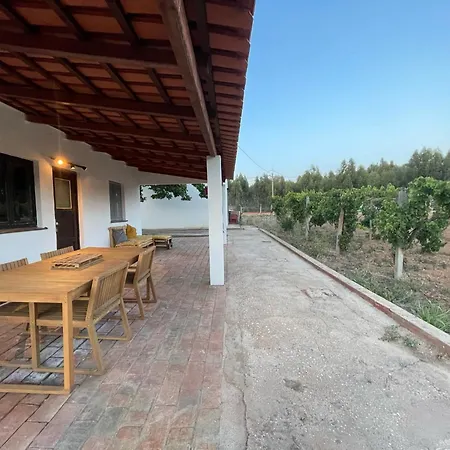 Casa Mimosa - Algarve-3